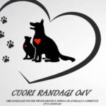 Cuori Randagi ODV