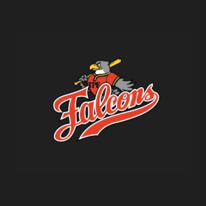 Falcons Baseball